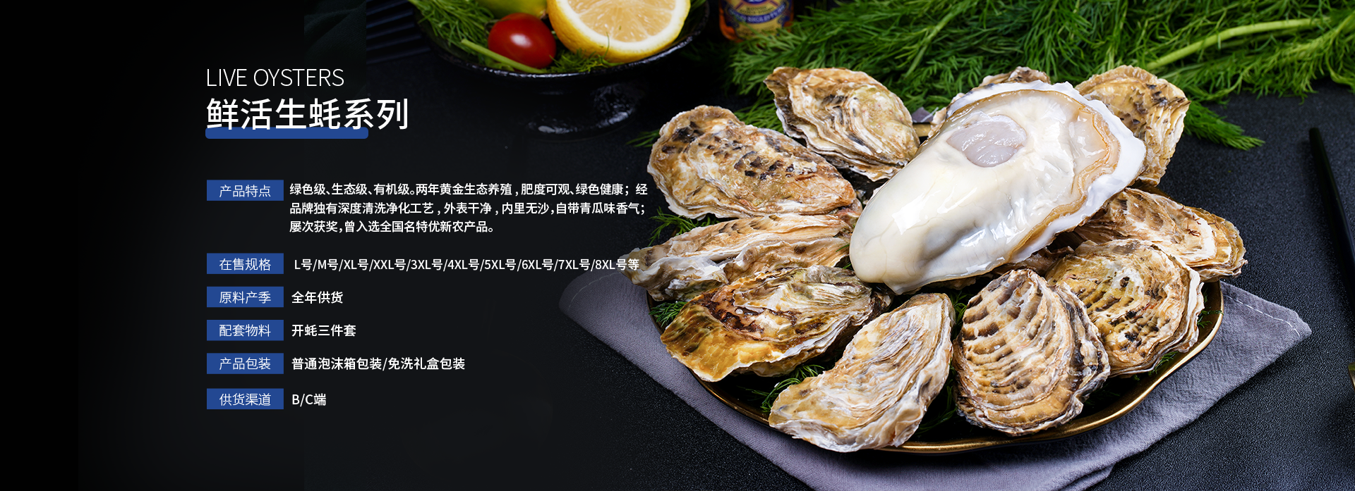 灯塔水母鲜活生蚝系列