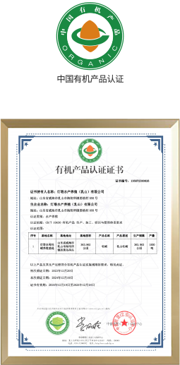 国际国内权威认证
