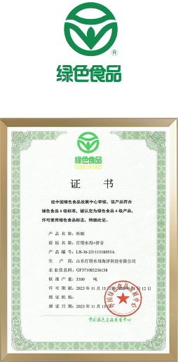 国际国内权威认证