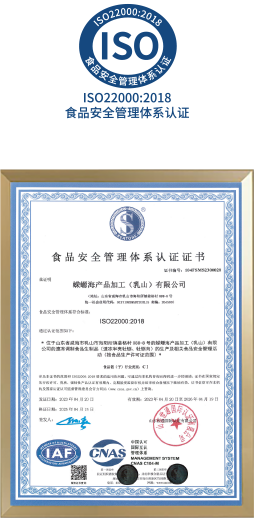 国际国内权威认证