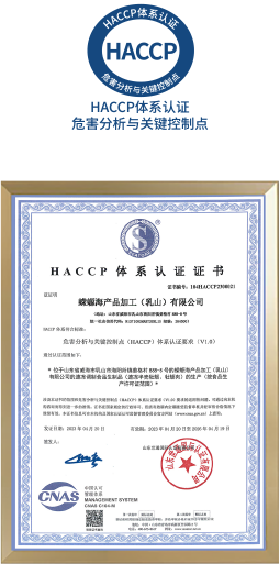 国际国内权威认证113