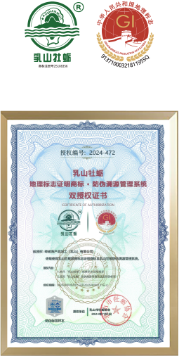 国际国内权威认证119