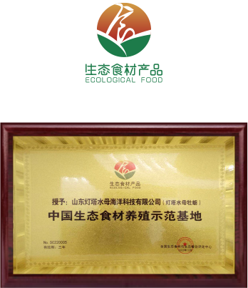 国际国内权威认证120
