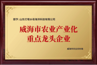 品牌荣誉