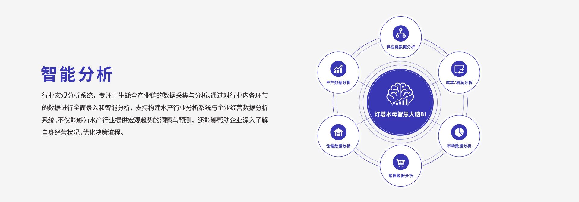 灯塔水母数智化升级