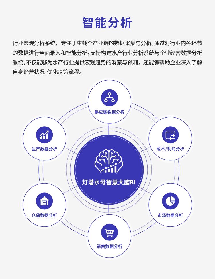 灯塔水母数智化升级