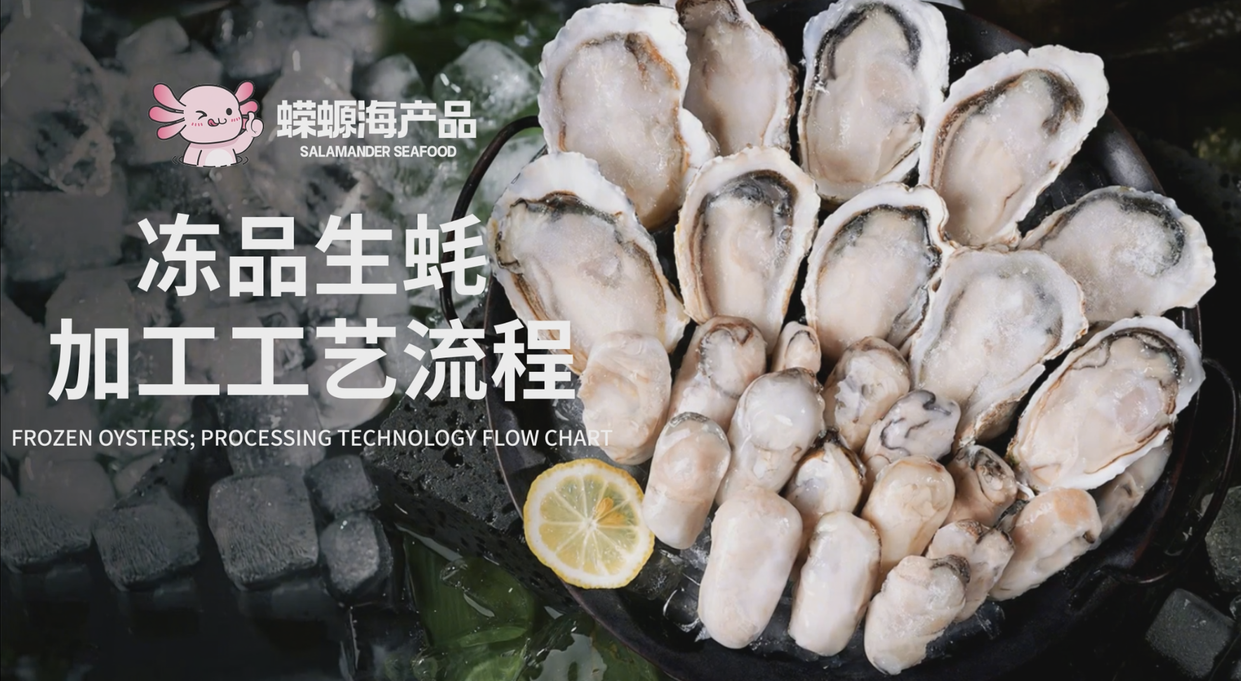 冻品生蚝工艺流程封面