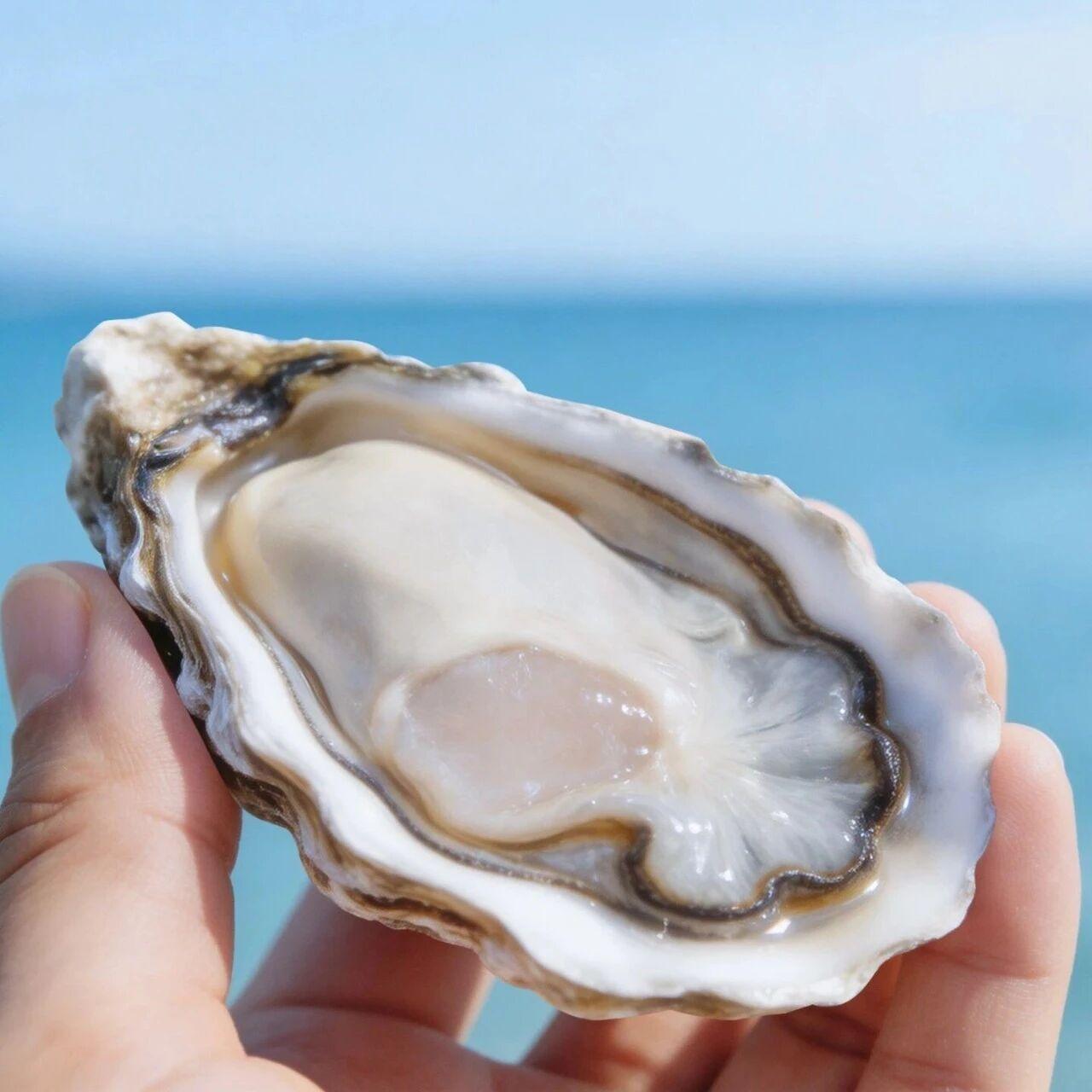 生蚝风味解码：像懂红酒一样，读懂大海的Merroir