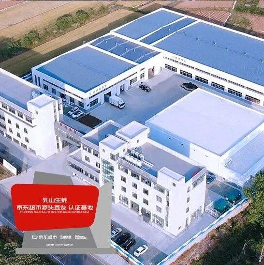乳山生蚝京东生鲜源头直发认证基地落地灯塔水母