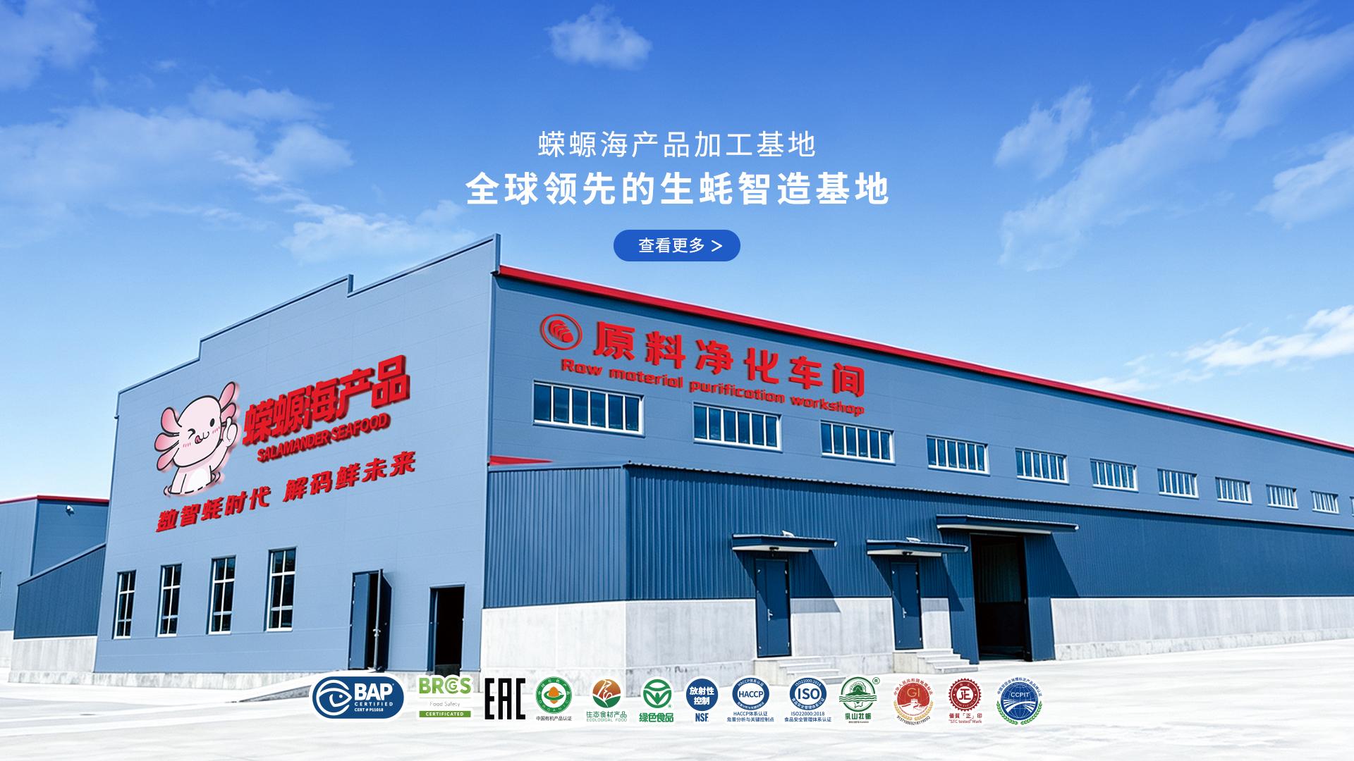 灯塔水母全产业链发展模式